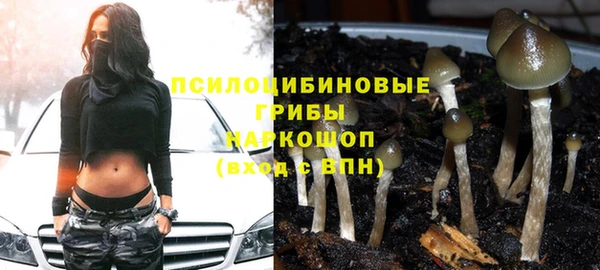спайс Алзамай